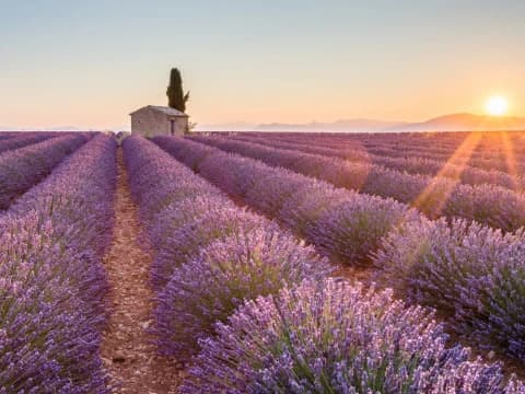 itinerari-in-provenza-fotografia-natura-e-antiche-città image