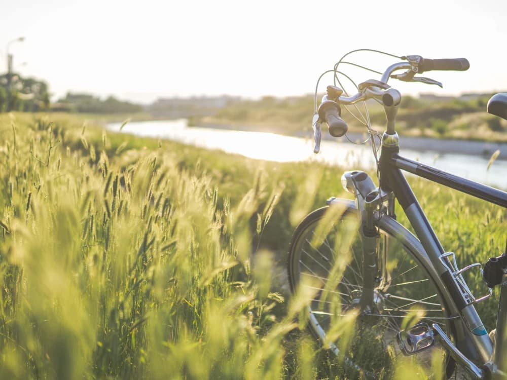 itinerari-green-in-europa-3-viaggi-da-non-perdere image