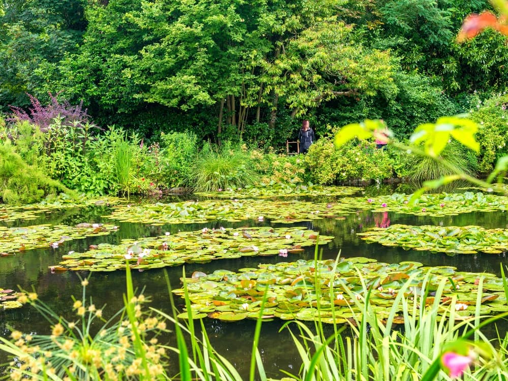 arte-viaggio-luoghi-dellimpressionismo image