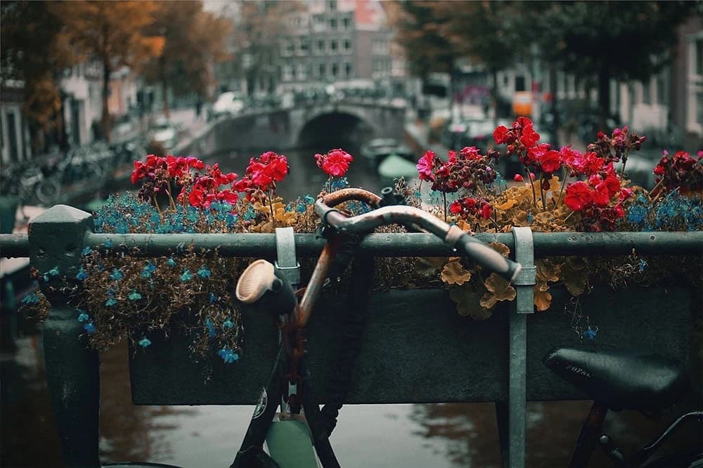 documentaries-bicycle-lifestyle image