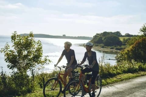 cycling-in-danish-jutland