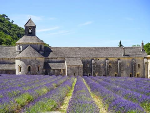 provence-and-camargue-by-bicycle