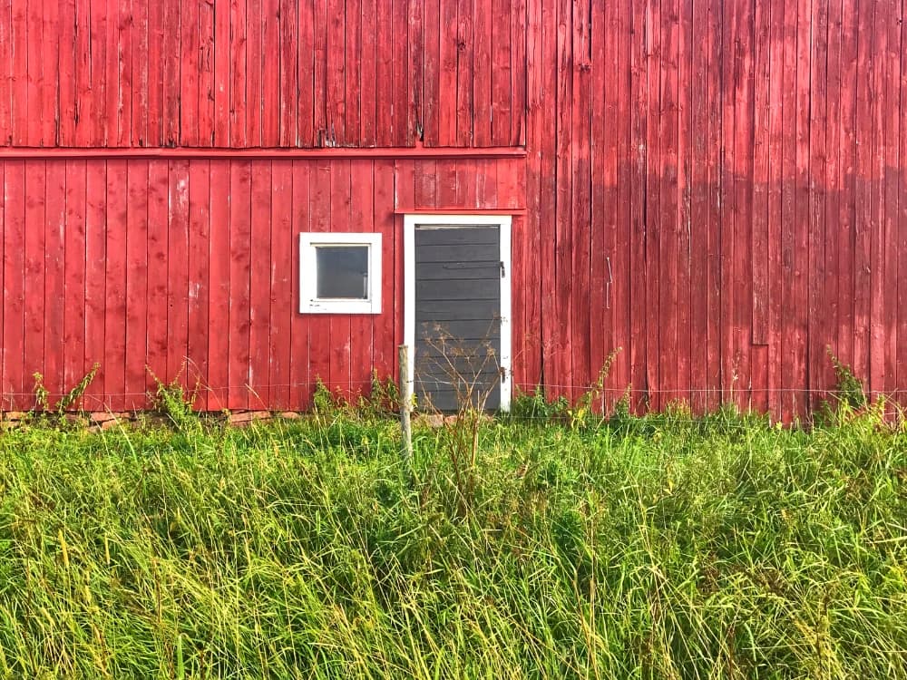 Cinque curiosità sulla Finlandia: alla scoperta delle tradizioni tipiche finlandesi cinque-curiosita-sulla-finlandia-alla-scoperta-delle-tradizioni-tipiche-finlandesi image