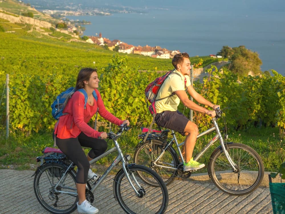 Ciclabile del Rodano: lungo la via Rhôna in bici, alla scoperta dei vigneti ciclabile-rodano-via-rhona-bici image
