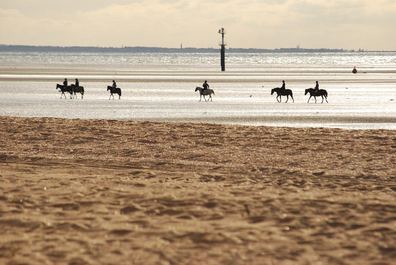 visitare Mont Saint Michel in bici: natura Visitare Mont Saint Michel