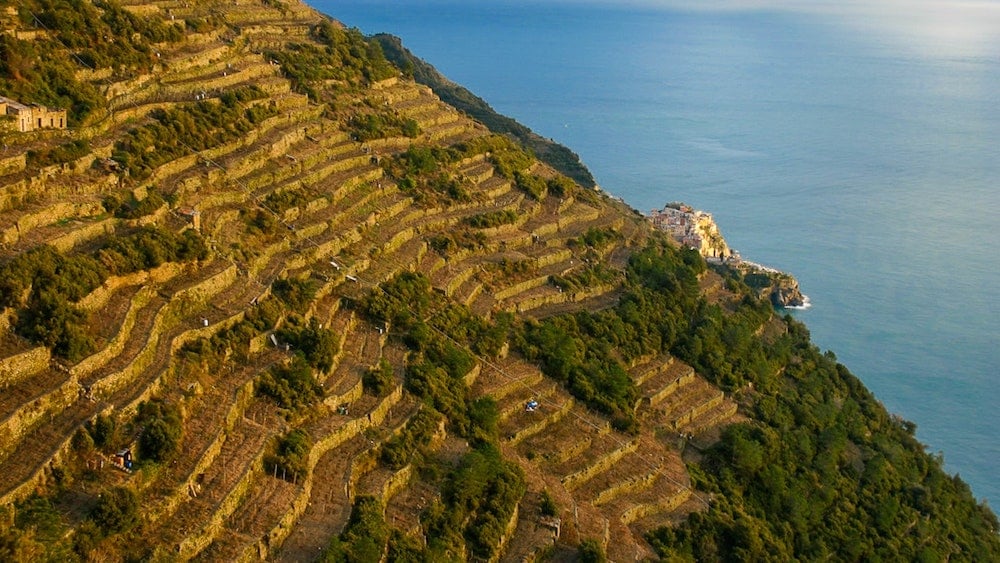 cinque terre in autunno vendemmia schiacchetrà cinque terre in autunno