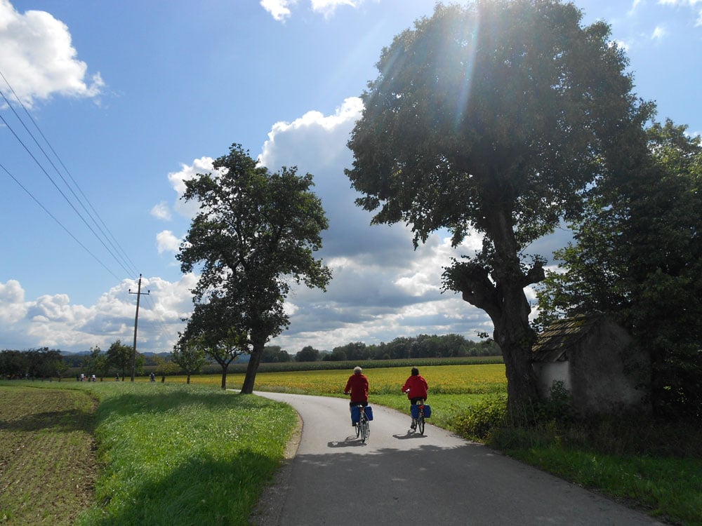 Da Linz a Vienna in bicicletta
