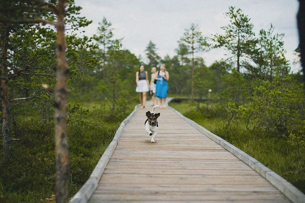 vacanze attive pet friendly