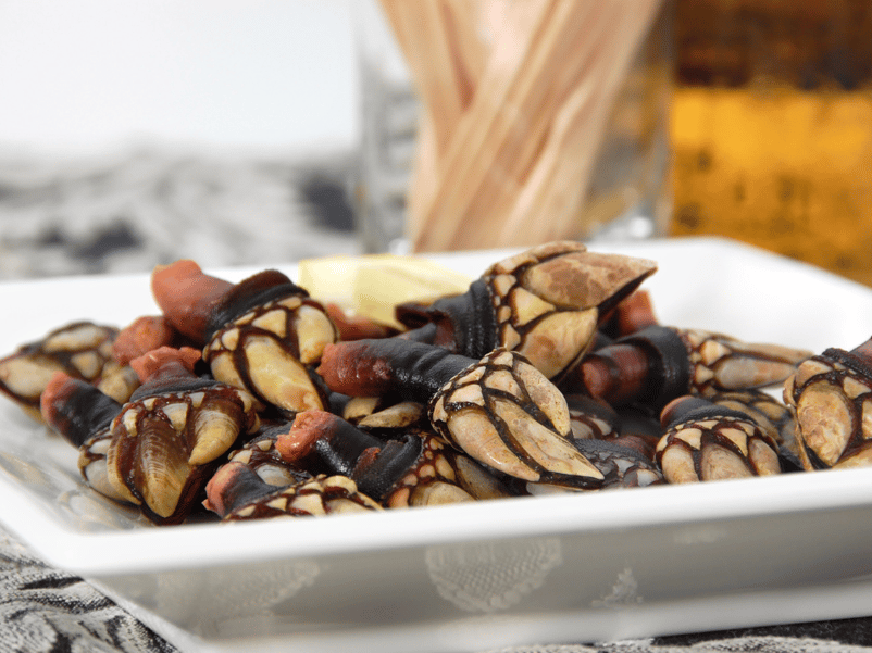 piatti tipici dell'algarve percebes